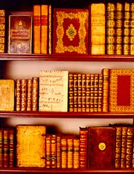 A bookshelf background